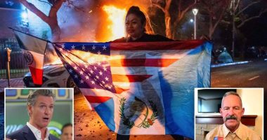 California sheriff says Newsom âencouragedâ LA riots as ICE arrests violent illegal aliens